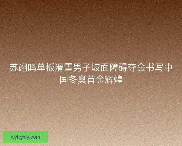 苏翊鸣单板滑雪男子坡面障碍夺金书写中国冬奥首金辉煌
