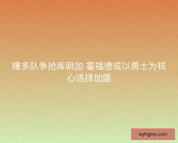 曝多队争抢库明加 霍福德或以勇士为核心选择加盟