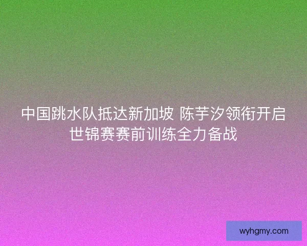 中国跳水队抵达新加坡 陈芋汐领衔开启世锦赛赛前训练全力备战