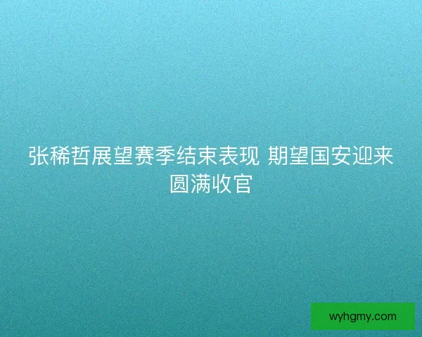 张稀哲展望赛季结束表现 期望国安迎来圆满收官