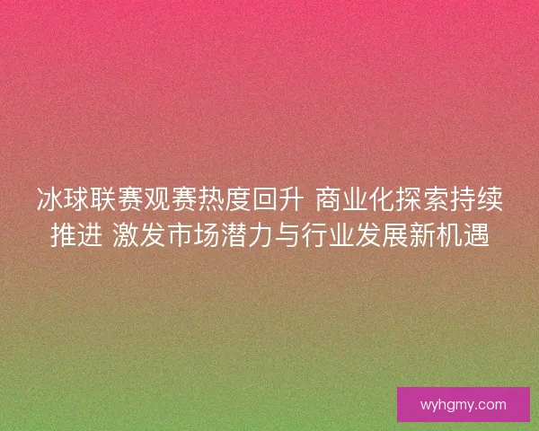 冰球联赛观赛热度回升 商业化探索持续推进 激发市场潜力与行业发展新机遇