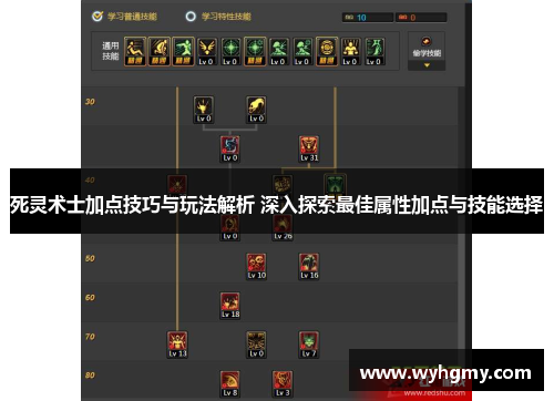 死灵术士加点技巧与玩法解析 深入探索最佳属性加点与技能选择